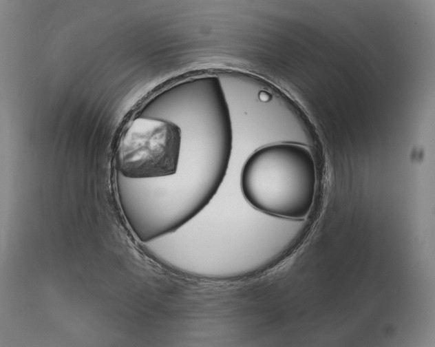 X0000111820877200907231022