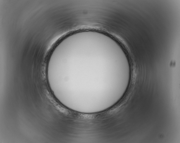 X0000111820878200907231022