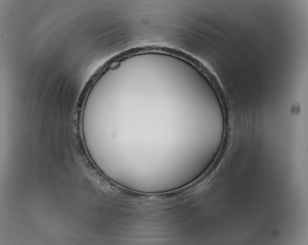 X0000111820879200907231022