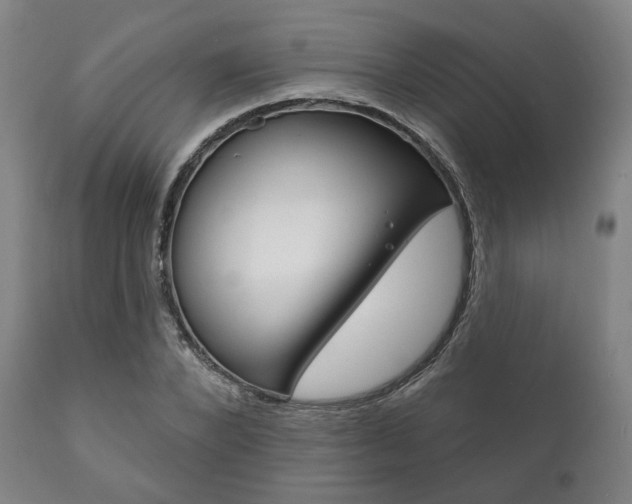X0000111820880200907231022