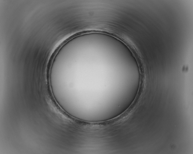 X0000111820884200907231022