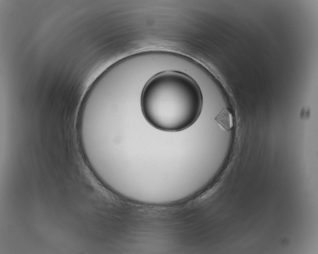X0000111820885200907231022