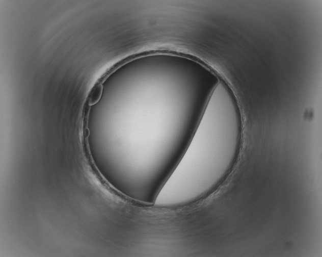 X0000111820888200907231021