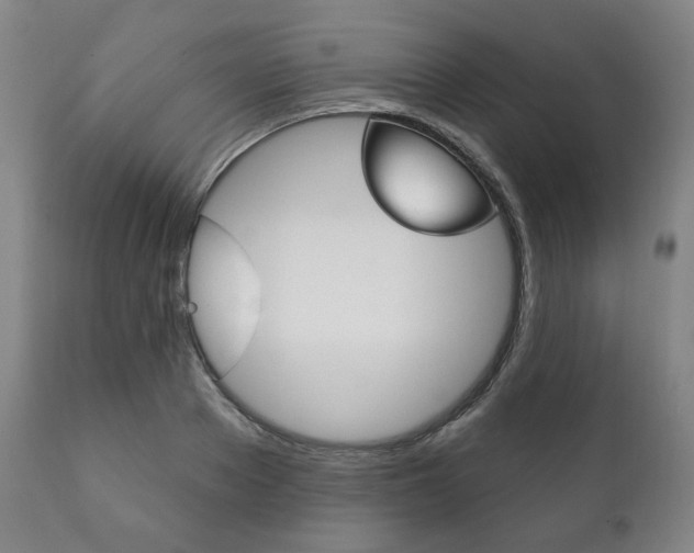 X0000111820889200907231021