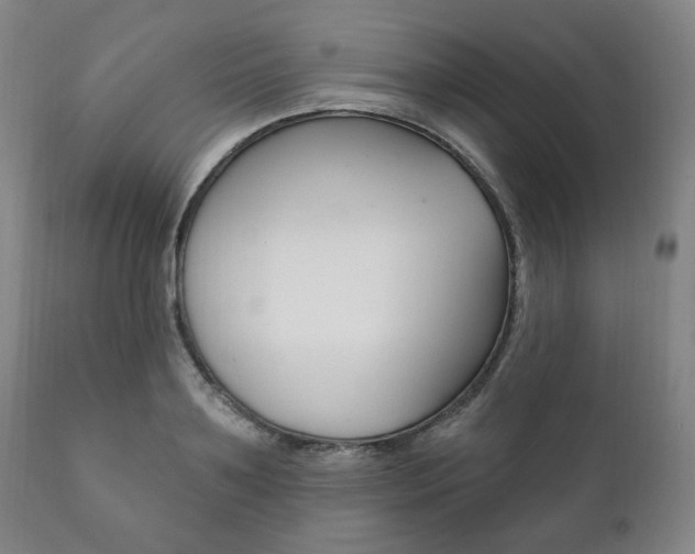 X0000111820891200907231021