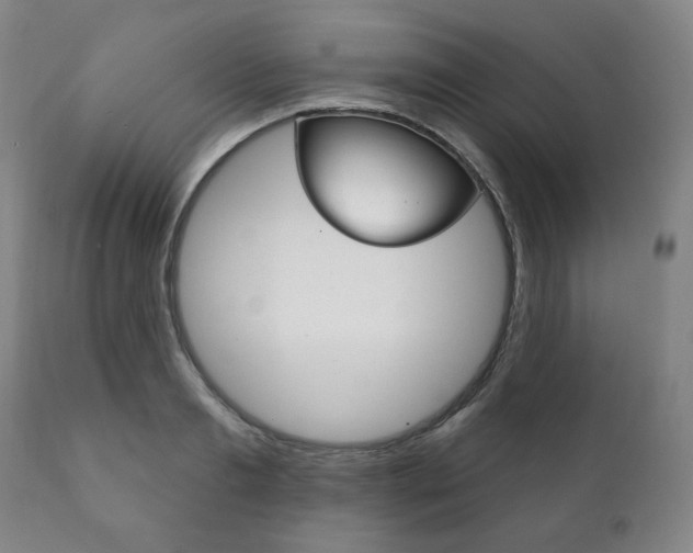 X0000111820893200907231021