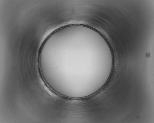 X0000111820894200907231021