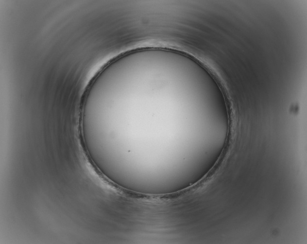 X0000111820896200907231021