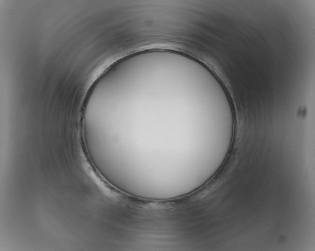 X0000111820898200907231021
