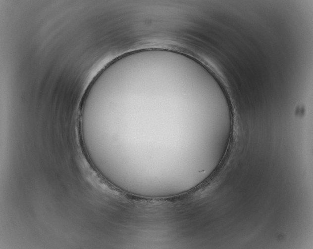 X0000111820899200907231021