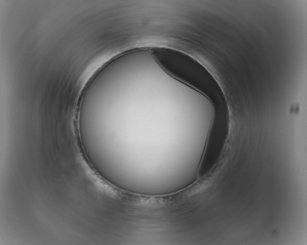 X0000111820901200907231021