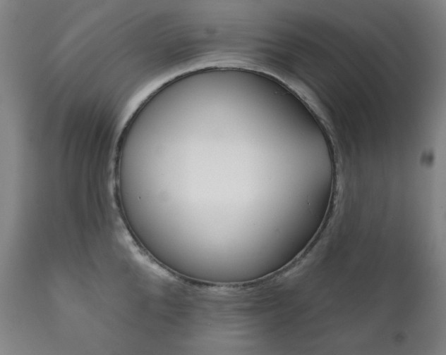 X0000111820904200907231021