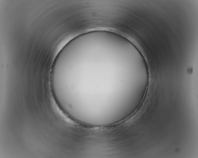 X0000111820906200907231021