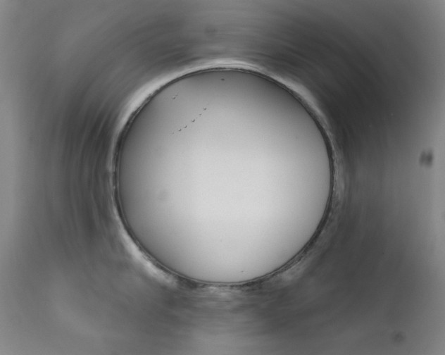 X0000111820910200907231021