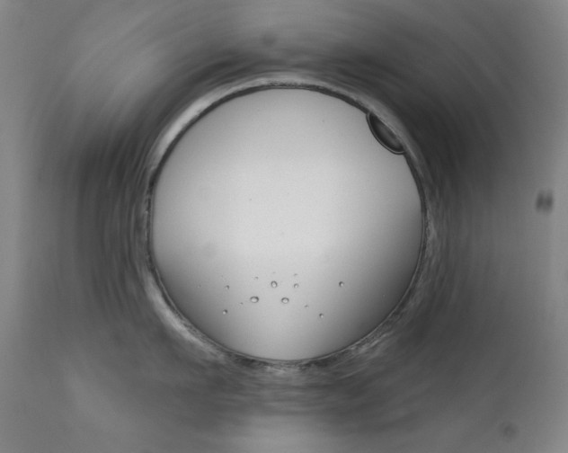 X0000111820911200907231021