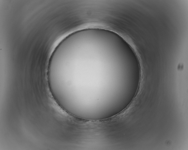 X0000111820912200907231021