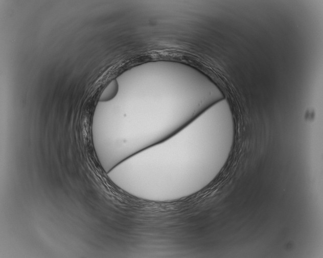 X0000111820915200907231020
