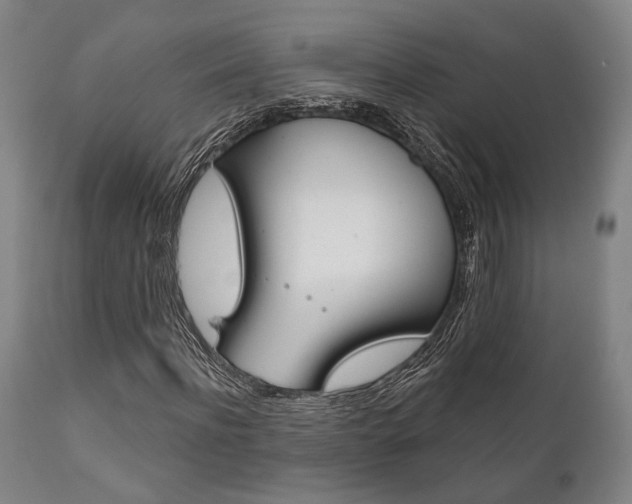 X0000111820916200907231020