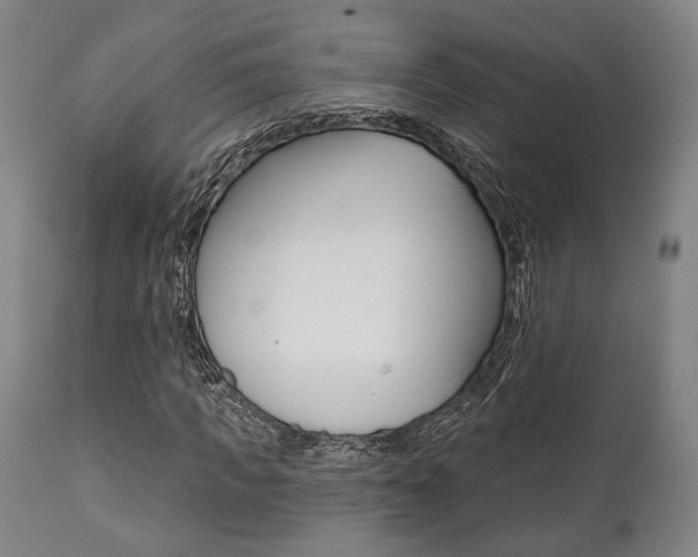 X0000111820917200907231020