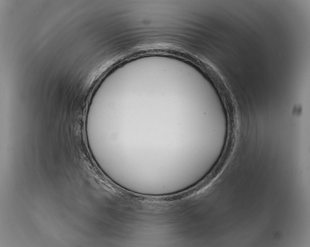X0000111820921200907231021