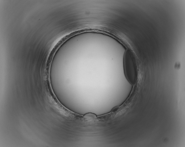 X0000111820924200907231021