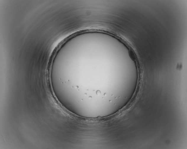 X0000111820928200907231021