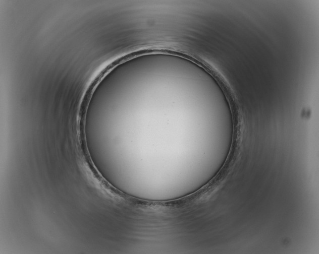 X0000111820932200907231021
