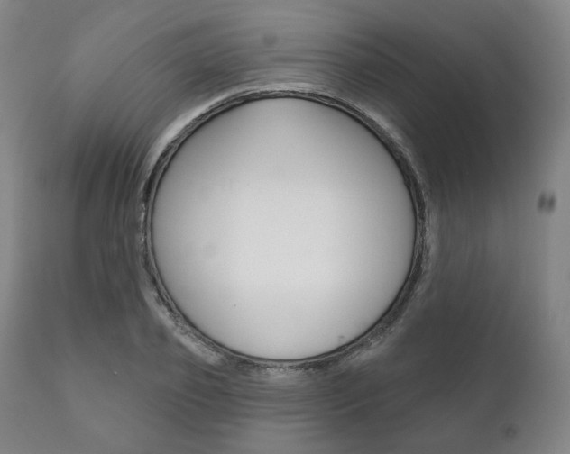 X0000111820933200907231021