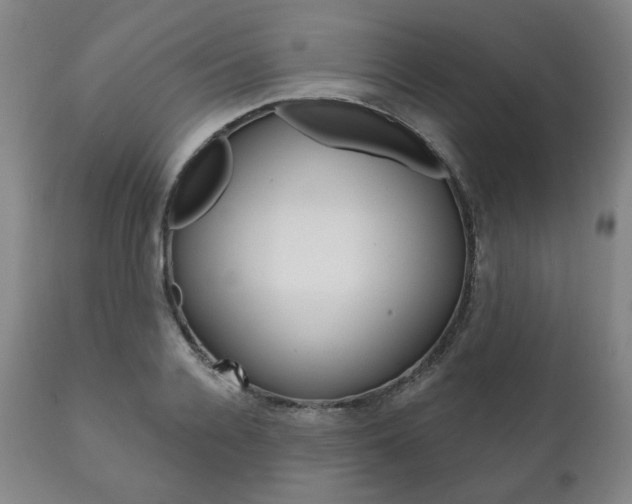 X0000111820936200907231021