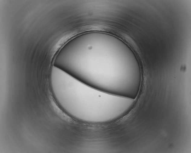 X0000111820938200907231021