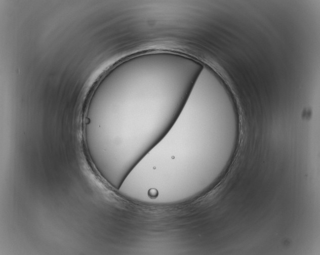 X0000111820939200907231021