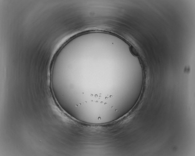 X0000111820940200907231021