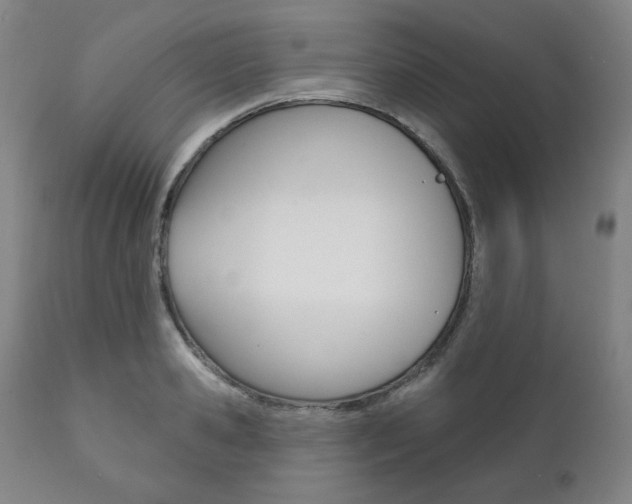 X0000111820941200907231021