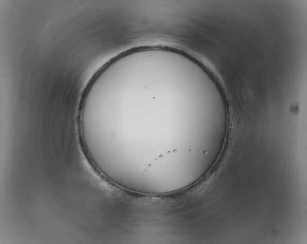 X0000111820943200907231021