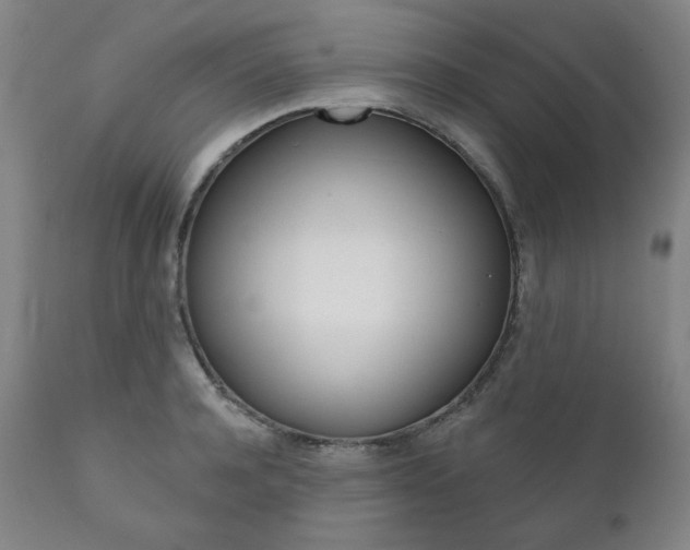 X0000111820944200907231021