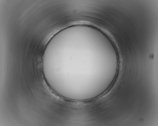 X0000111820945200907231021