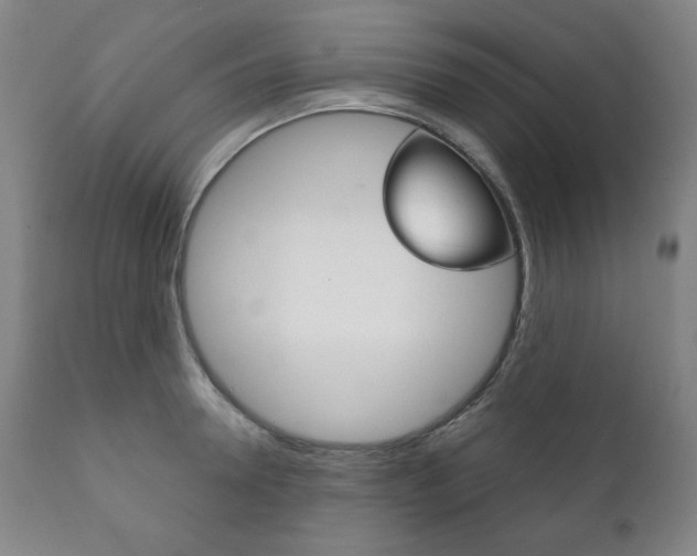 X0000111820946200907231021