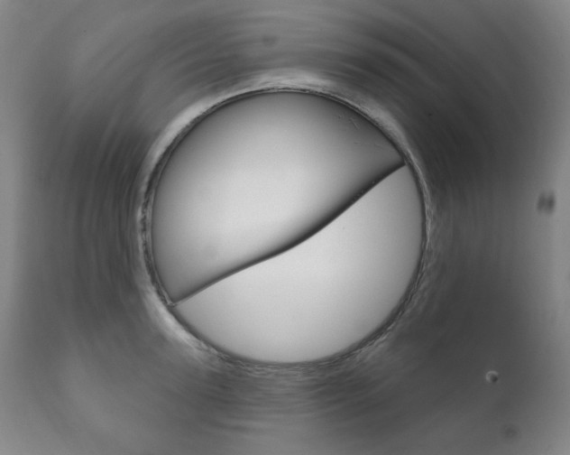 X0000111820947200907231021