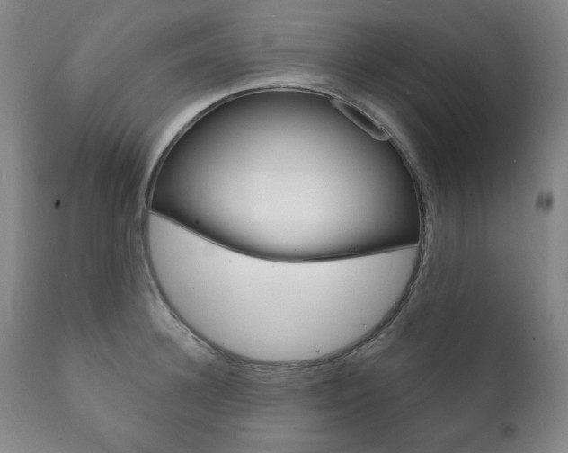 X0000111820948200907231021