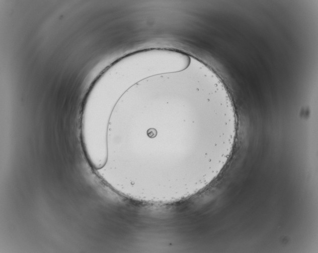 X0000111820950200907231021