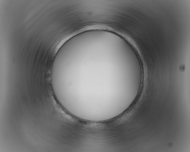 X0000111820953200907231021