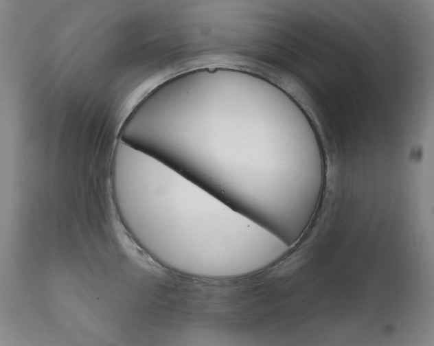 X0000111820954200907231021