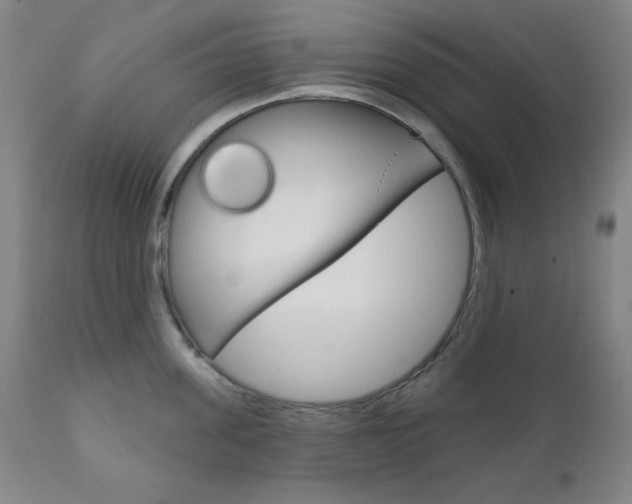 X0000111820955200907231021