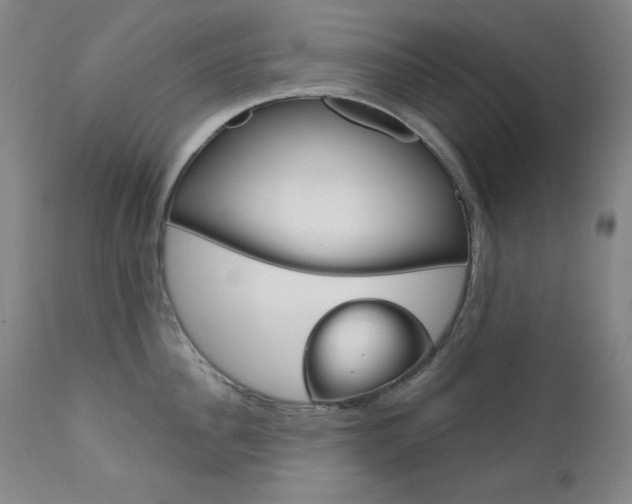 X0000111820956200907231021