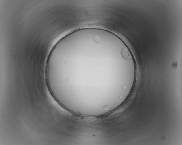 X0000111820957200907231021