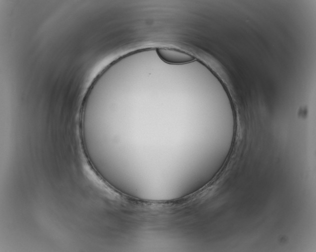 X0000111820958200907231021