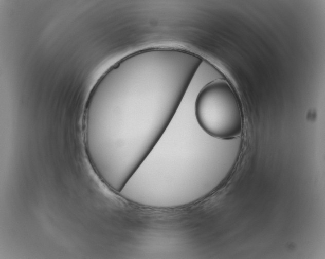 X0000111820959200907231021