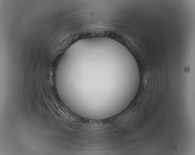 X0000111820964200907231020