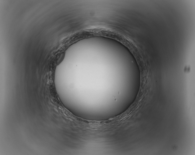 X0000111820965200907231020