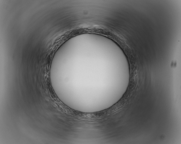 X0000111820966200907231020